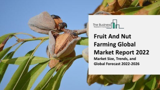 Fruit And Nut Farming Global Market By Pet Type, Size, Share, Growth, Sales Channel, Opportunity Analysis and Industry F