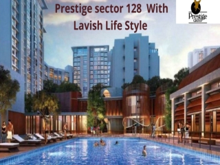 Prestige sector 128 come with luxury