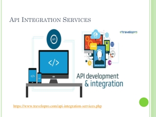 Api Integration Services