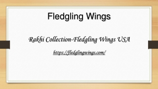 Rakhi Collection-Fledgling Wings USA