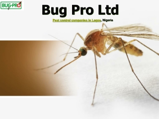 Get Rid Of Mosquito With Pest Control Firm in Lagos