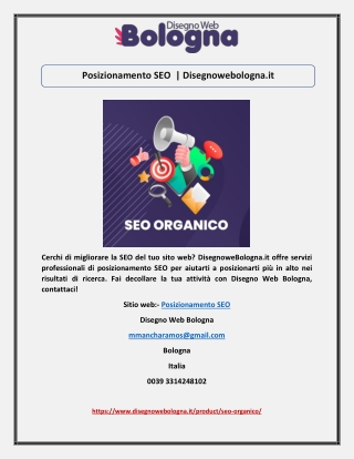 Posizionamento SEO  | Disegnowebologna.it