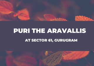 Puri Aravallis Sector 61 At Gurugram _PDF