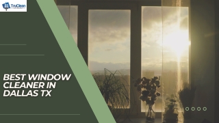 Window Cleaner Dallas in Tx