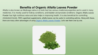 Benefits of Organic Alfalfa Leaves Powder