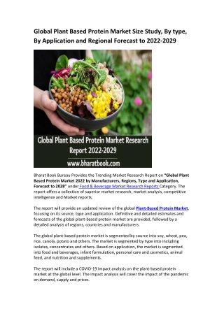 Global Plant Based Protein Market Research Report 2022-2029