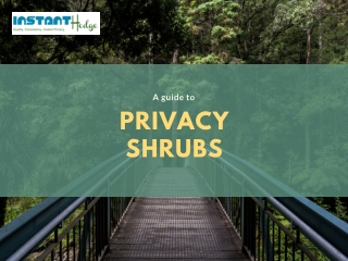 Four examples and a summary of privacy shrubs