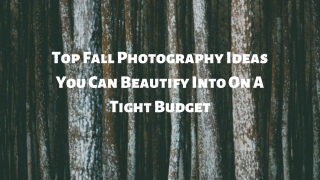 Mohit Bansal Chandigarh- Top Fall Photography Ideas You Can Beautify Into On A Tight Budget