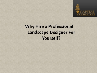 Why Hire a Professional Landscape Designer For Yourself