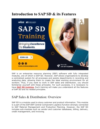 Introduction to SAP SD & its Features