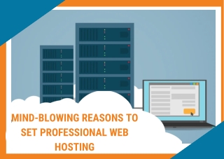 Powerful Web Hosting for Your Website