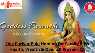 Shiv Parivar Puja Homam for Family Bliss, Health, Wealth and Over All Prosperity.