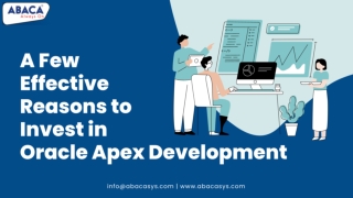 A few effective Reasons to Invest in Oracle Apex Development