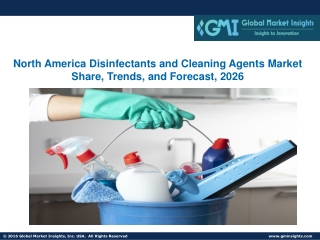 North America Disinfectants and Cleaning Agents Market Share, Trends, Forecast