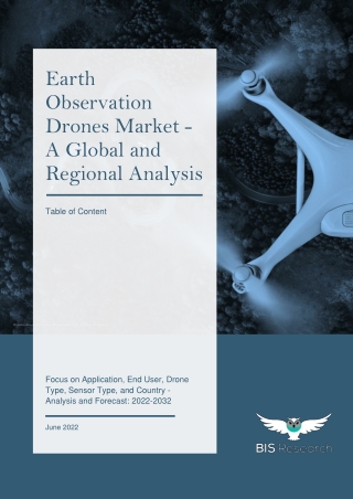 Earth Observation Drones Market