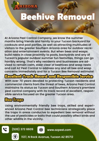 bee hive removal tucson | Arizona pest control company