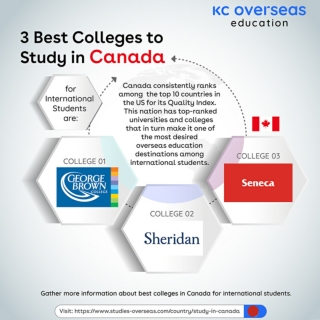 3 Best Colleges to Study in Canada