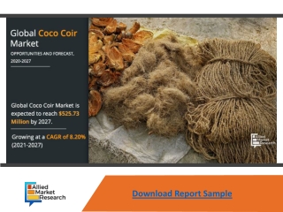 coco coir market