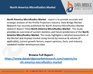 North America Microfluidics Market
