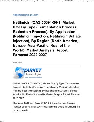 Netilmicin (CAS 56391-56-1) Market