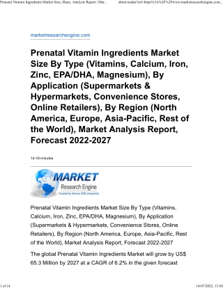 Prenatal Vitamin Ingredients Market