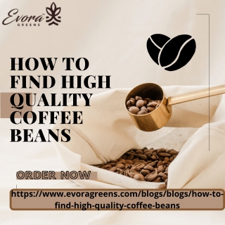 What is the best way to Find High Quality Coffee Beans? Evora Greens