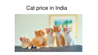 Cat price in India