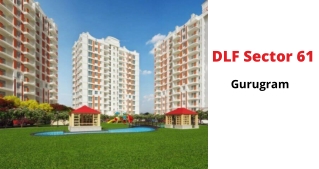 DLF Sector 61 Gurugram | For Those Wonderful And Restful Moments