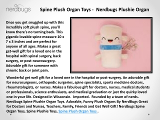 NerdBugs Team - Medical Human Organs Plush Toys - Nerdbugs Plush Toy Organs