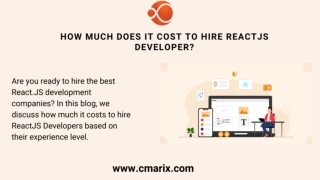 How Much Does it Cost to Hire ReactJS Developer