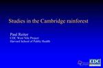 Studies in the Cambridge rainforest