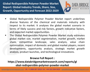 Global Redispersible Polymer Powder Market 2022-2028