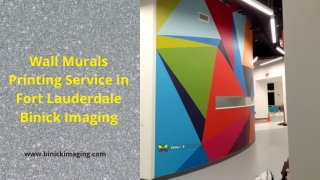 Wall Murals Printing Service in Fort Lauderdale | Binick Imaging