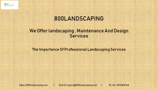 The Importance Of Professional Landscaping Services