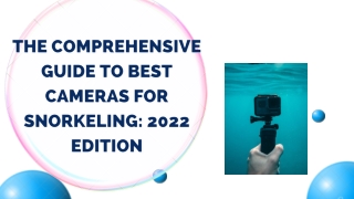 Mohit Bansal Chandigarh- The Comprehensive Guide To Best Cameras For Snorkeling 2022 Edition