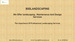 The Importance Of Professional Landscaping Services