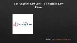 DIFFERENT TYPES OF LAWYERS-THE MINES LAW FIRM