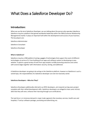 What Does a Salesforce Developer Do