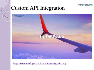 Custom API Integration