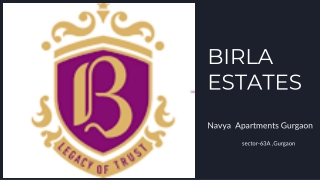 birla navya ppt