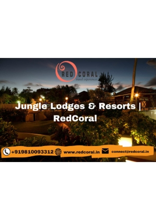 Jungle Lodges & Resorts | RedCoral