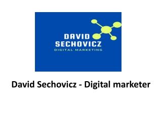 David Sechovicz - Digital marketer