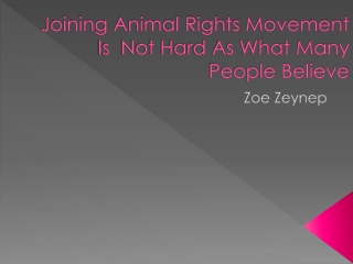 Joining Animal Rights Movement Is  Not Hard As What Many People Believe - Zoe Zeynep