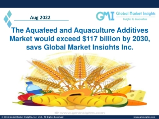 Aquafeed and Aquaculture Additives Market Set for Rapid Growth & Forecast