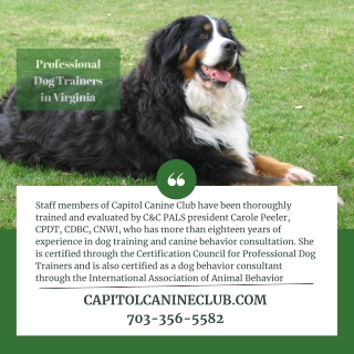 Professional Dog Trainers in Virginia