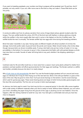 Pet Bird Supplies - Get The Right Stuff