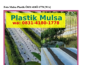 Foto Mulsa Plastik Ô8౩l_4l8Ô_l778[WA]
