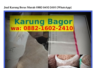 Jual Karung Beras Murah 0882-1602-2ㄐ10(whatsApp)
