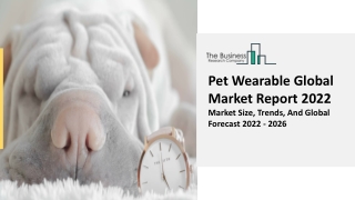 Pet Wearable Market Outlook, Industry Analysis, Size, Share, Trends, Growth 2022