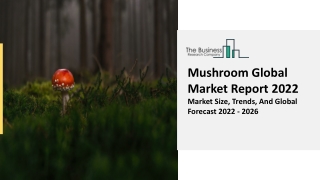 Mushroom Market Analysis, Scope, Industry Overview 2031